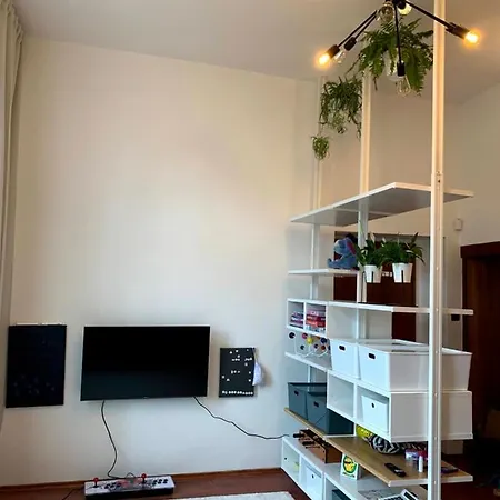 Villa Historicka Dom Hosti *