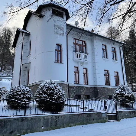 Villa Historicka Dom Hosti *