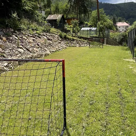 Historicka Dom Hosti Villa *